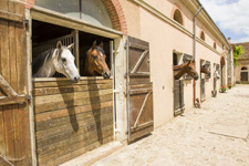 France-Auvergne-Auvergne Chateau Equestrian Escape